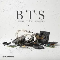 B.T.S by Skales Album Cover