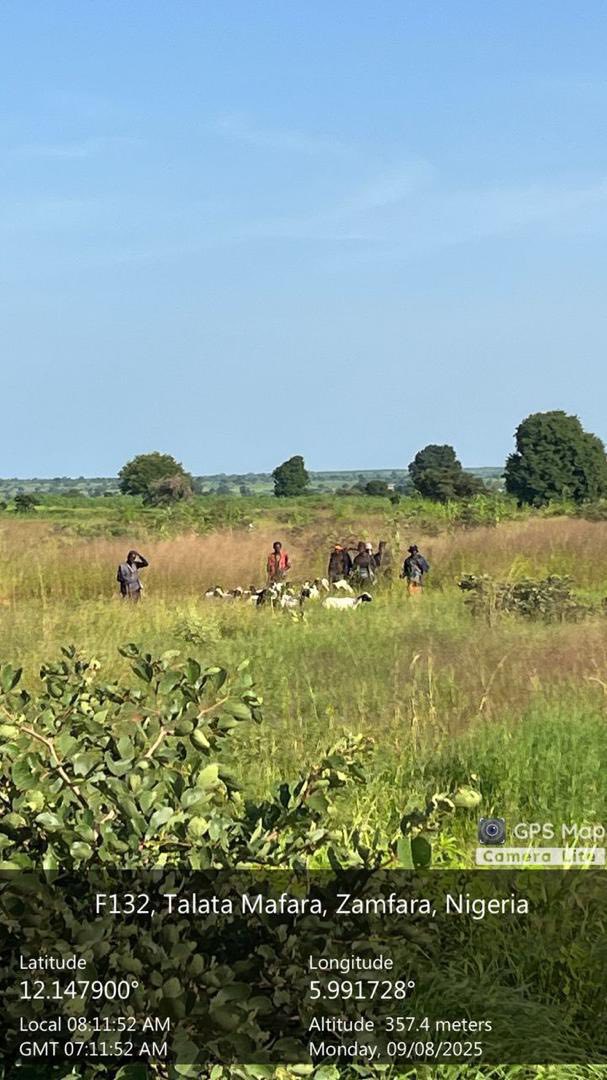 Troops in action