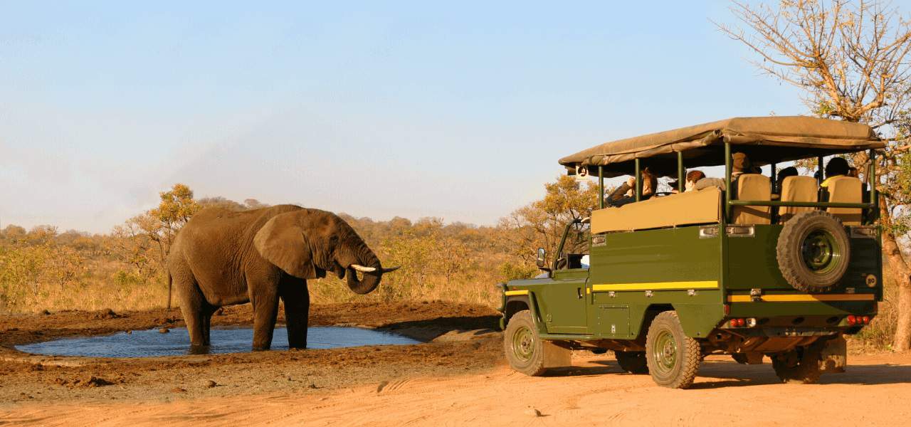 Safari Adventure
