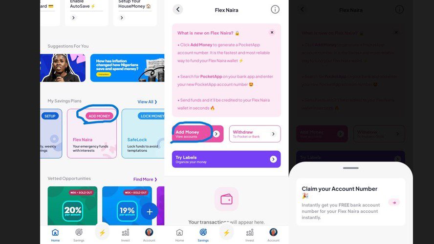 Pocket App