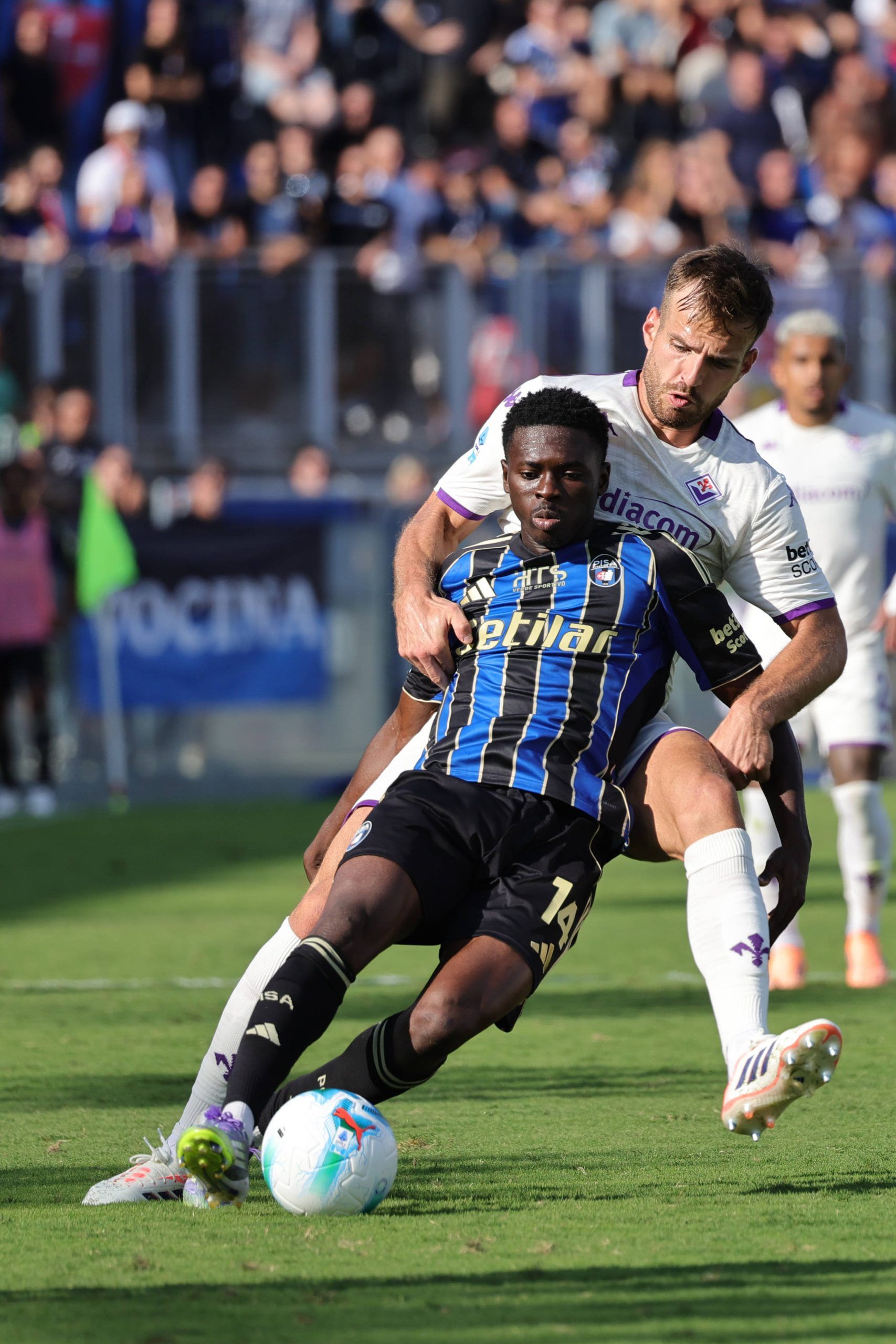 Ebenezer Akinsanmiro of Pisa and Marin Pongracic of ACF Fiorentina battle for the ball during the Italian Serie A match