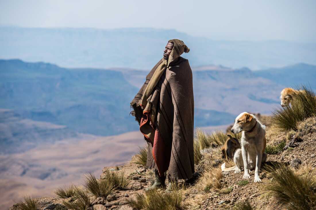 Local shepherd wrapped in blanket with dogs in Lesotho mountains