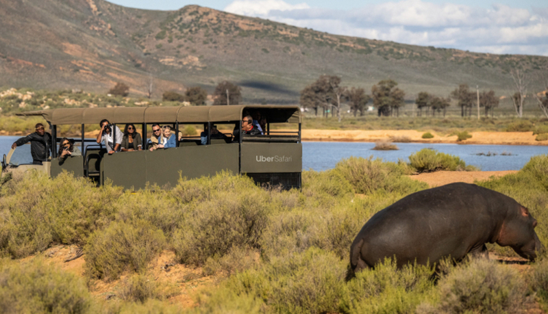Uber Safari Experience