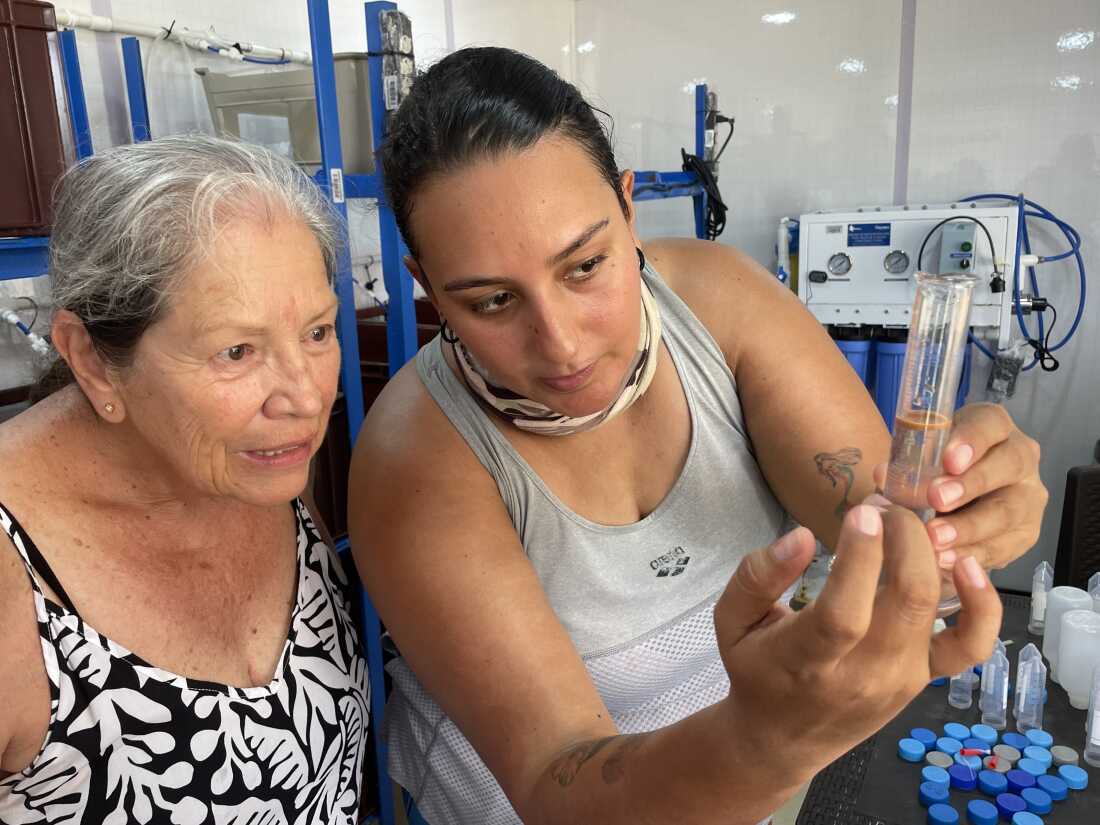 Elvira Alvarado and a fellow marine biologist fertilize coral eggs and sperm in the lab, using a pioneering technique to restore damaged reefs.