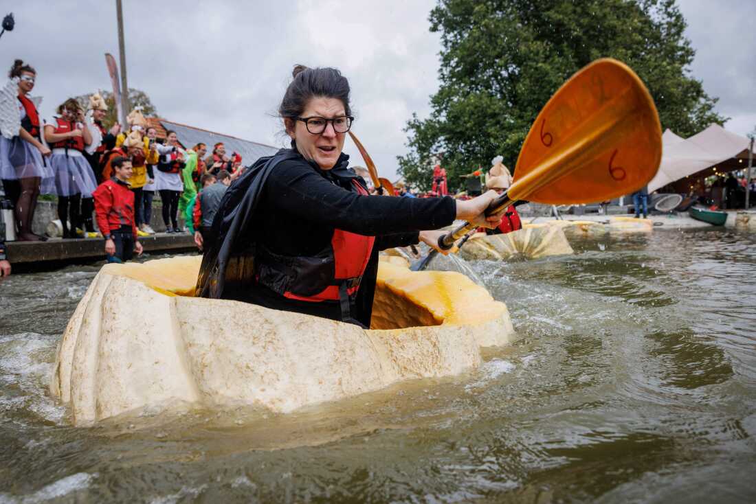 A participant paddling a giant hollowed pumpkin during the annual Pumpkin Regatta in Kasterlee, Belgium, October 22, 2023.