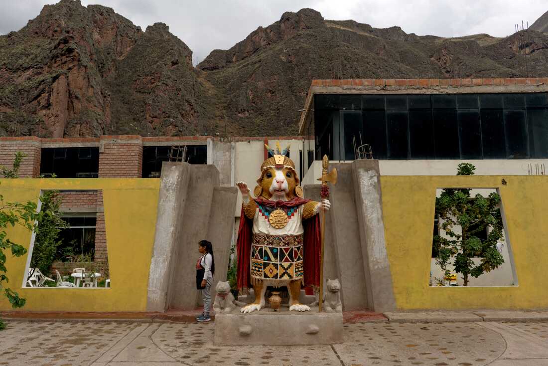 A woman stands beside an 'Inca cuy' (guinea pig) in Lamay, near Cusco, on November 6, 2024. Both cuyes and chicha, the fermented corn drink, held sacred status among Indigenous peoples of the region.
