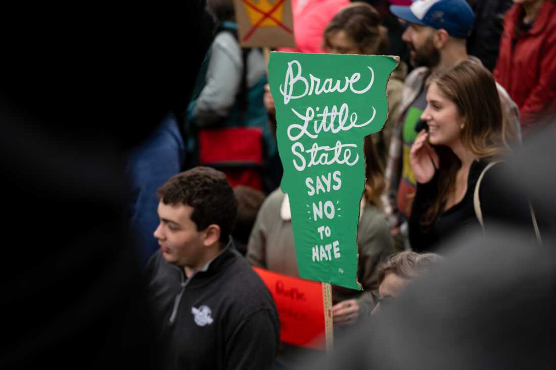 Gathering of protestors at City Hall Park in Burlington, Vermont during the No Kings rally.