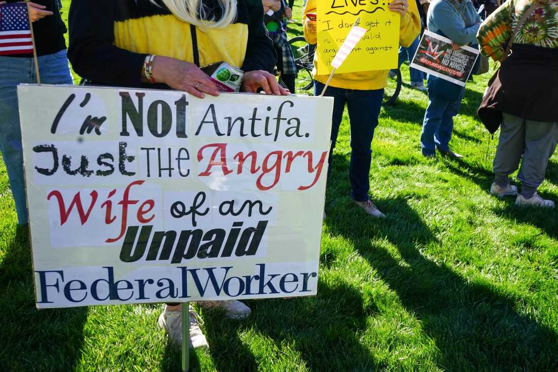 A protester holding a sign at the No Kings rally in Salt Lake City, Utah.