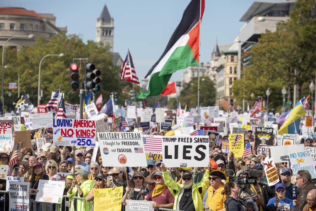 Large crowds gathered in downtown Washington, D.C., for the 'No Kings' rally.