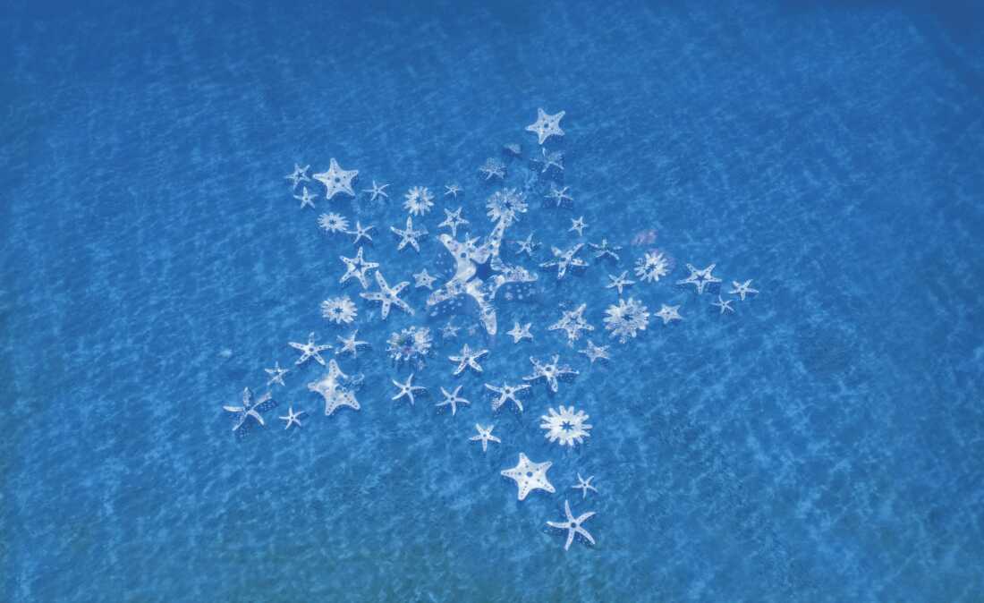 Miami Reef Star sculpture, envisioned as a future city emblem by artistic director Ximena Caminos