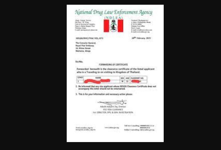 NDLEA certificate