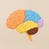 An illustration shows different regions of the human brain.